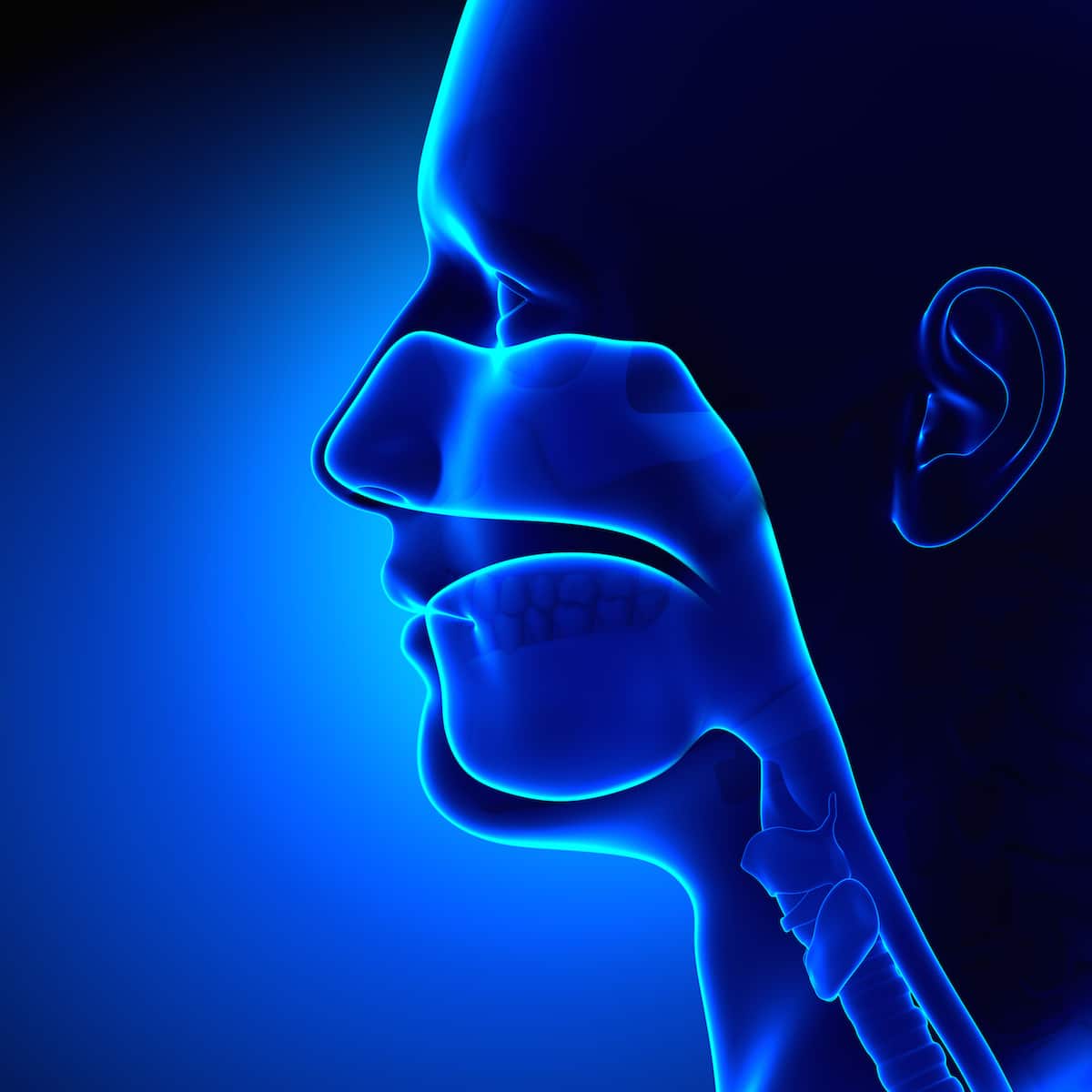 How Does an ENT Doctor Help You?